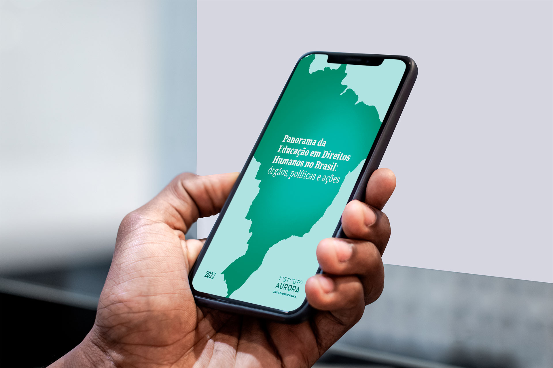 Panorama da Educação em Direitos Humanos no Brasil: órgãos, políticas e ações